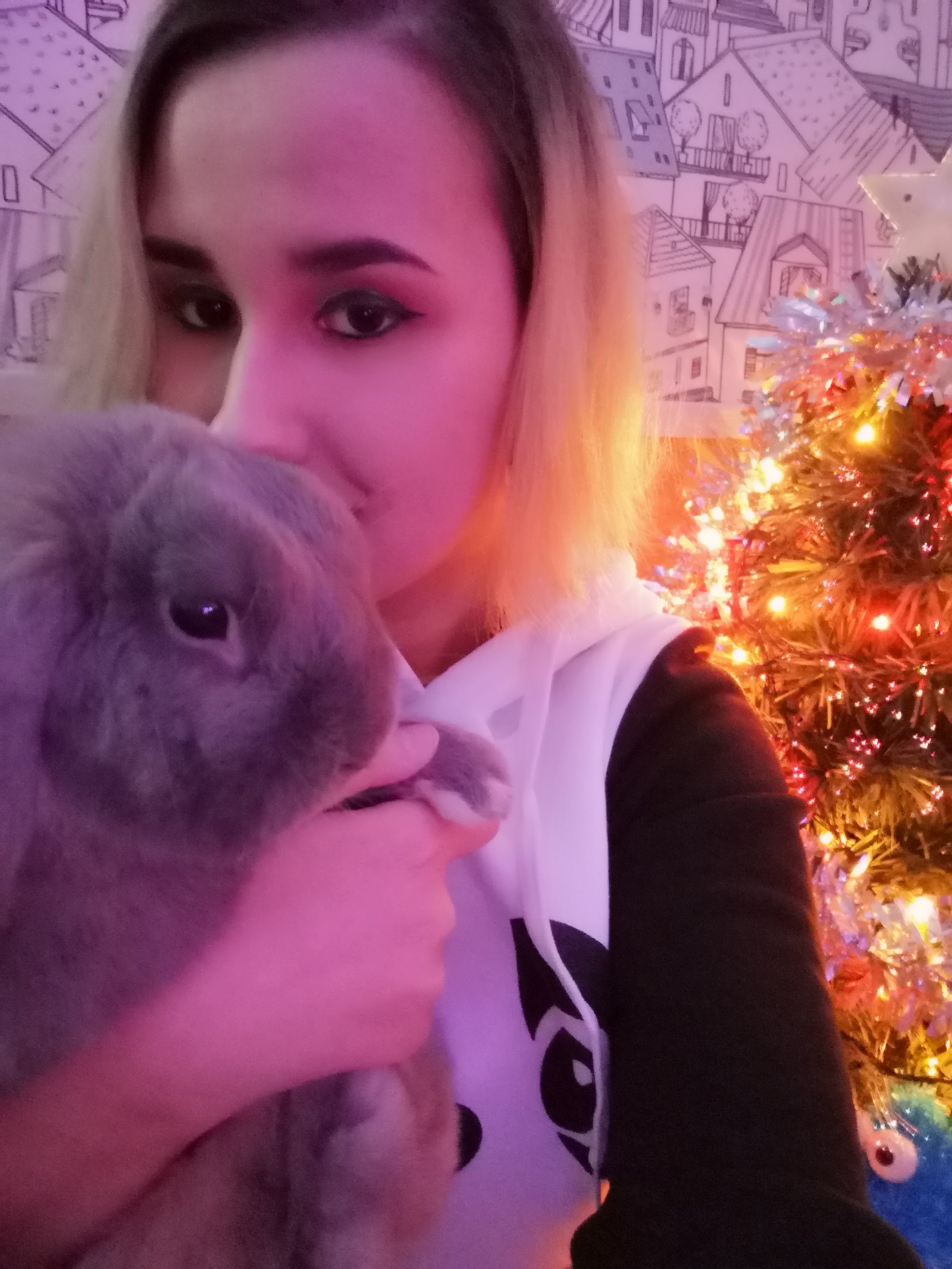 Not only cats love Christmas trees - My, Rabbit, New Year, Christmas trees, Longpost