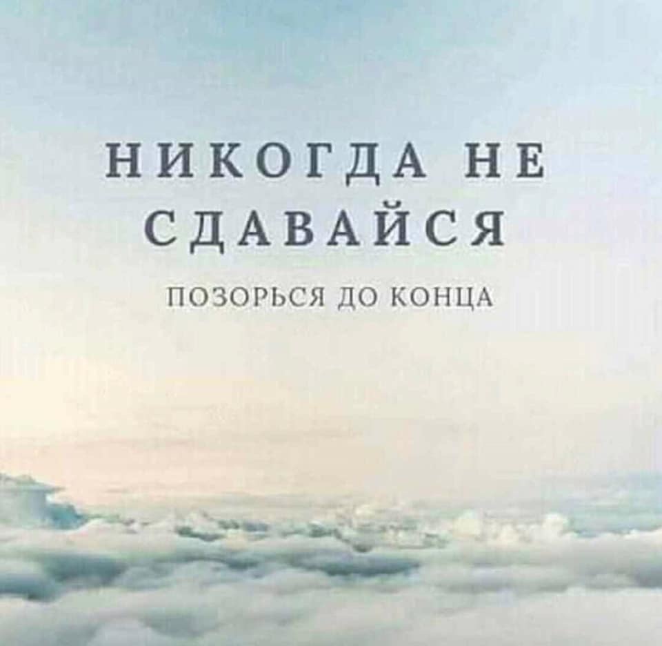 Никогда не сдавайся | Пикабу