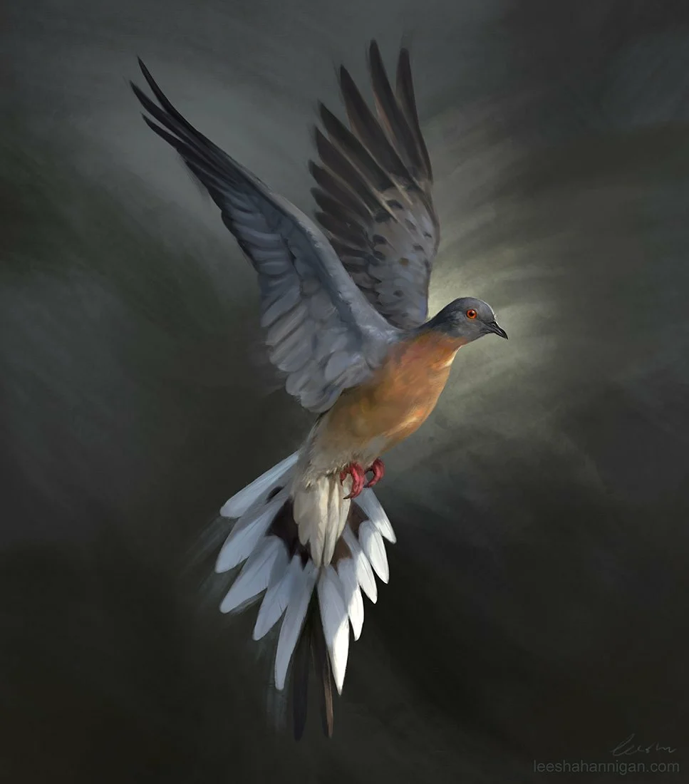 Passenger pigeon: How the most numerous bird on the planet was destroyed - Passenger pigeons, Animals, Wild animals, Animal protection, Nature, Zoology, Animal book, Ornithology, Longpost