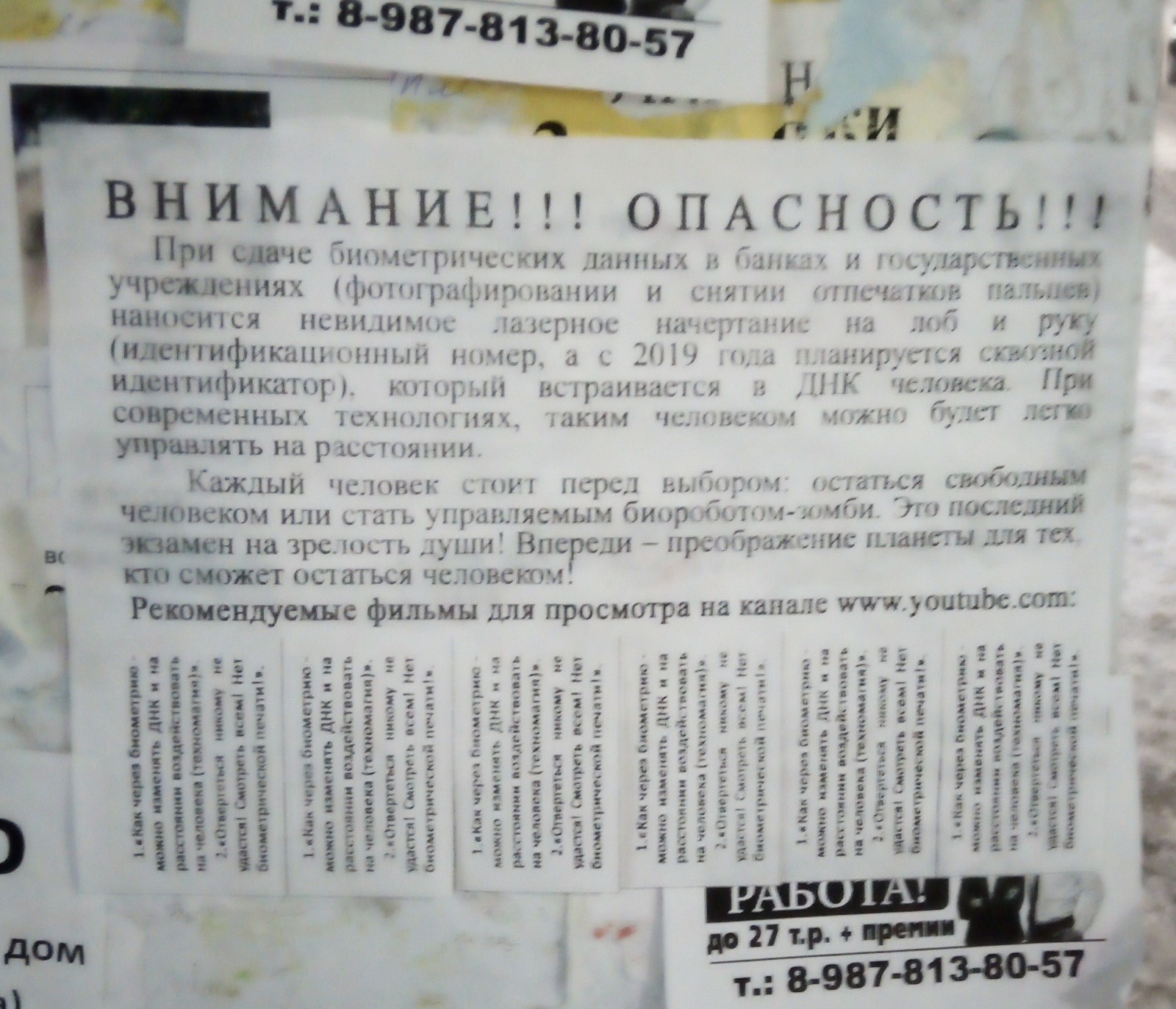 Вот я дуиал не бывает такого. Саратов, остановка на одной из центральных улиц. - Моё, Безумие, Рептилоиды, Объявление