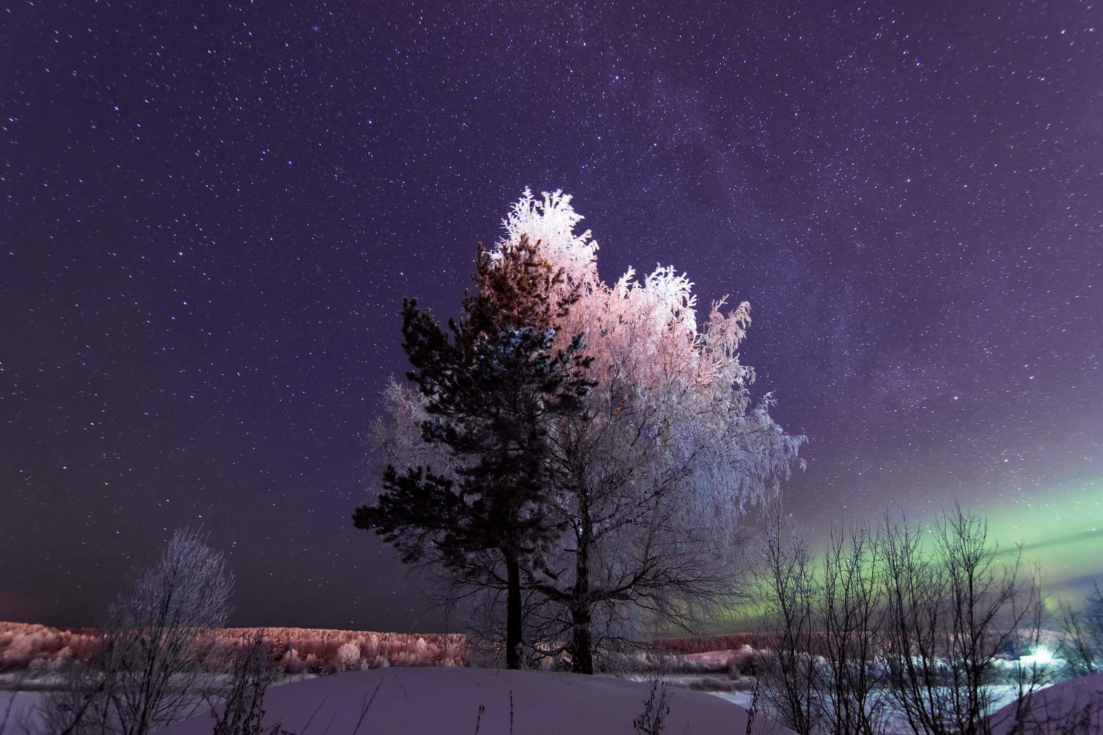 Frosty nights in the north of the European part of Russia. - My, The photo, Astrophoto, Polar Lights, North, Night, Winter, Longpost