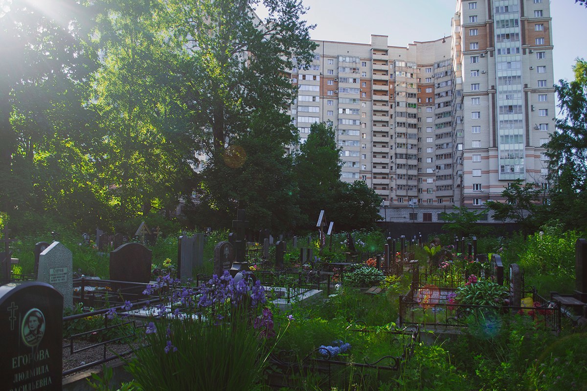 Quiet neighbors - Cemetery, New building, Neighbours, Longpost, Saint Petersburg