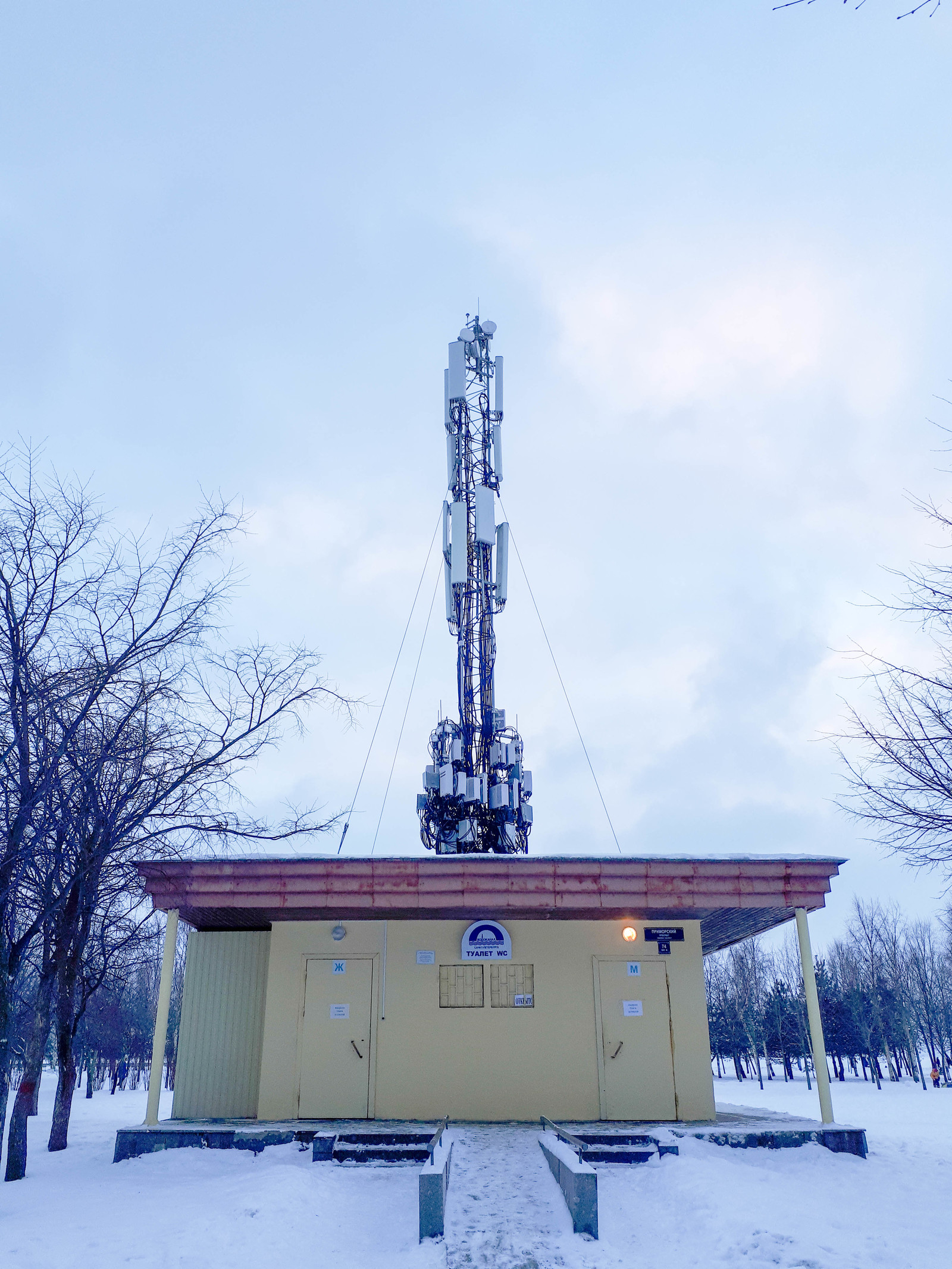 Cell tower - My, Radiocommunication, , Public toilet, Longpost