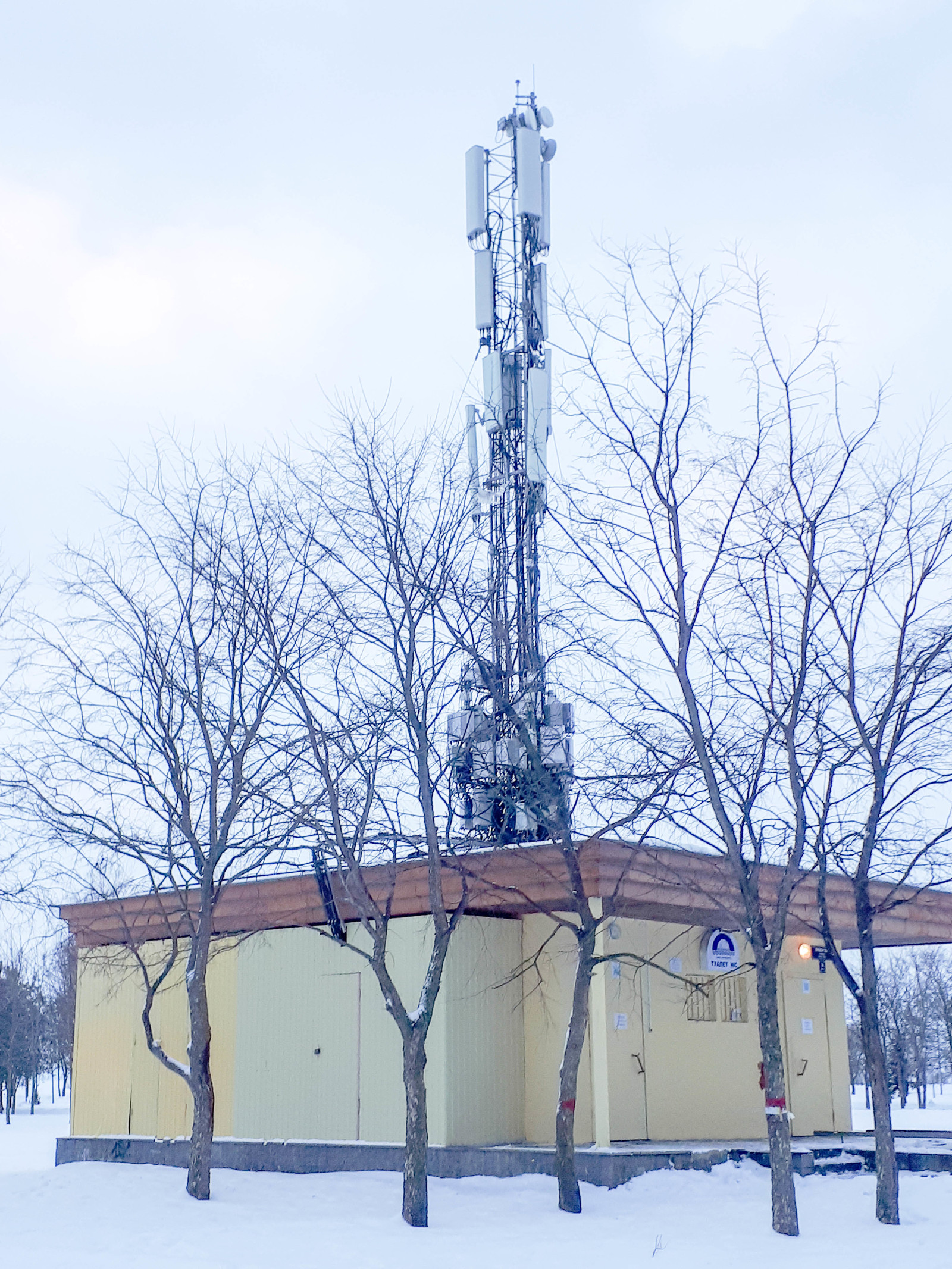 Cell tower - My, Radiocommunication, , Public toilet, Longpost