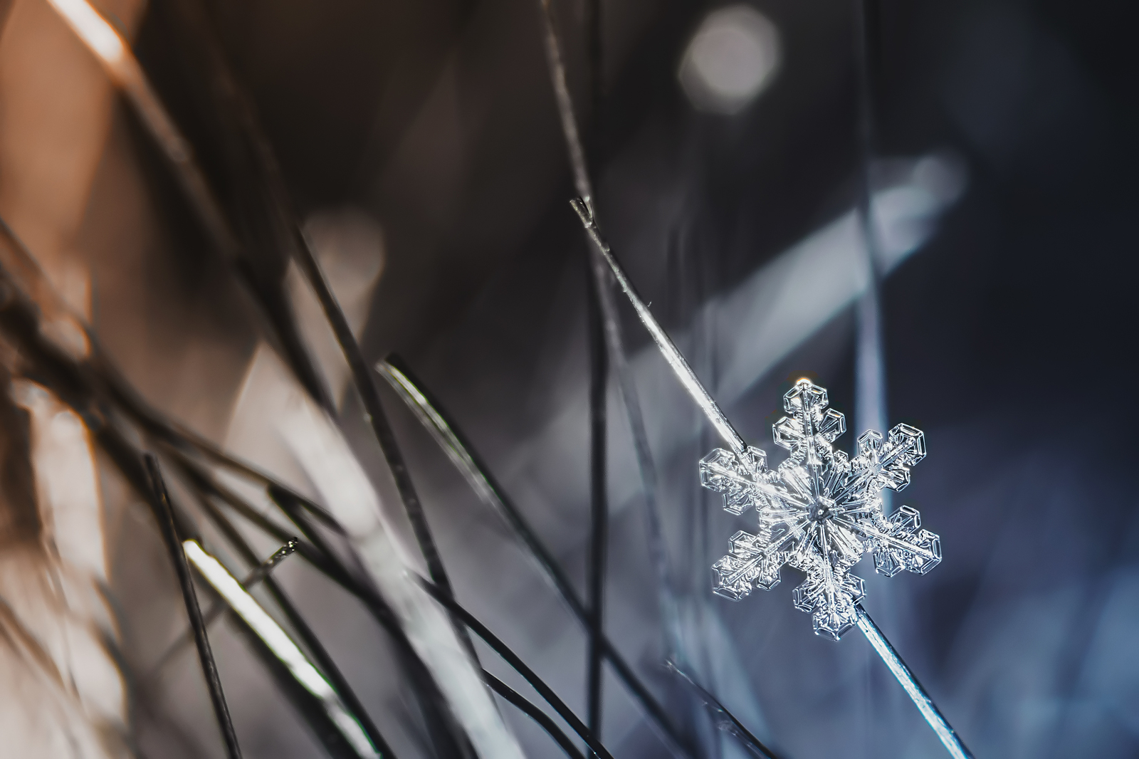 Snowflakes. - My, Snowflake, Macro, Nikon d5300, Nikkor 50mm, Macro photography