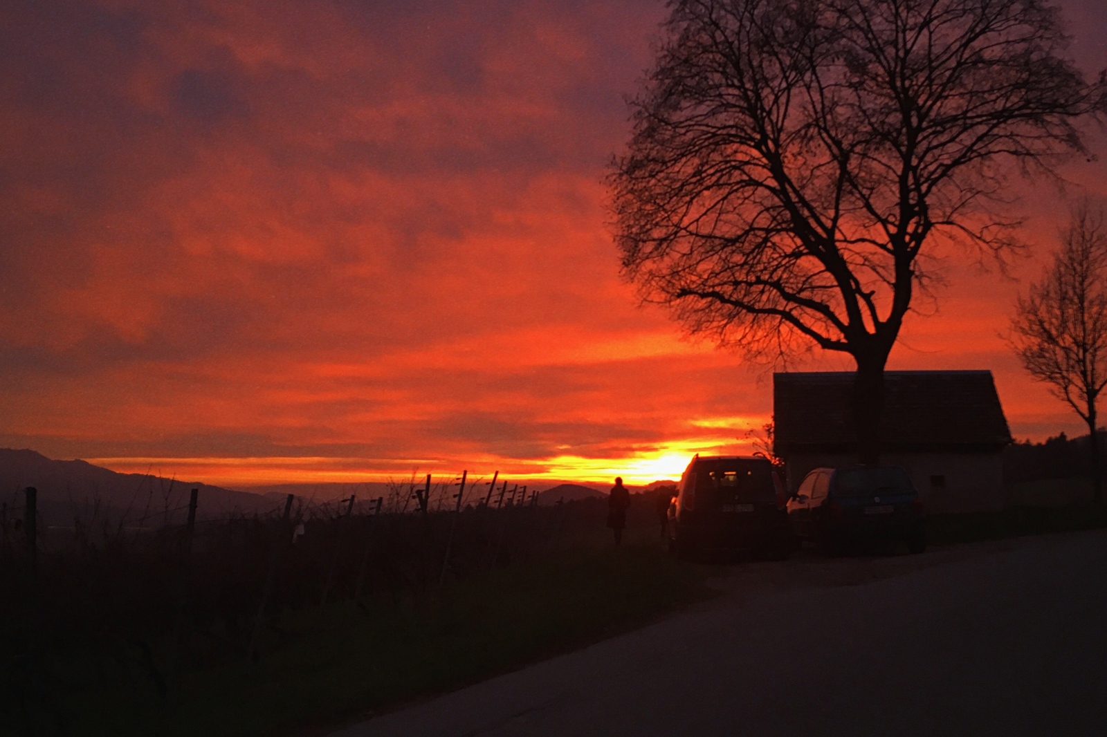 Winter sunset - My, The photo, Germany