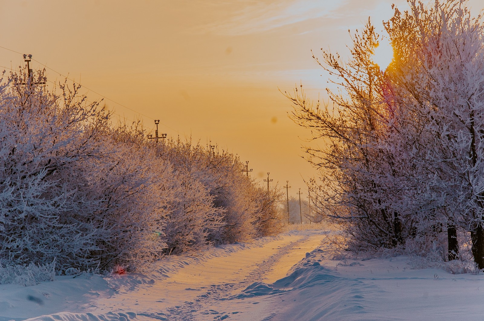 Winter evening. - My, Winter, Village, Altai, The photo, Nikon, Snow, Evening, Frost, Longpost, Altai Republic