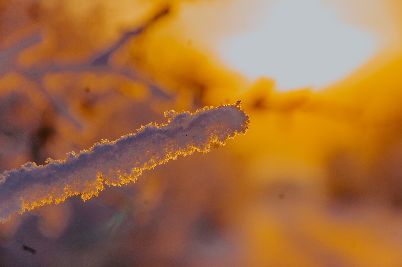 Winter evening. - My, Winter, Village, Altai, The photo, Nikon, Snow, Evening, Frost, Longpost, Altai Republic