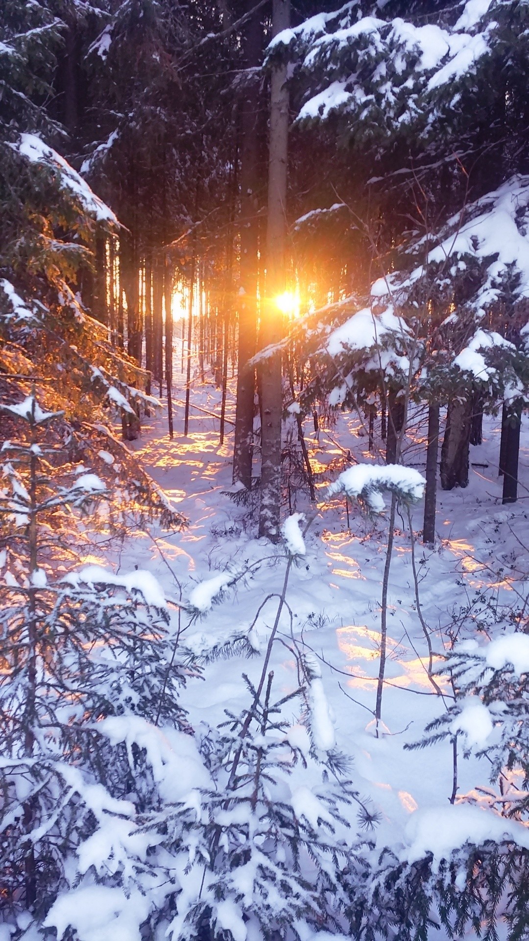 Snow Karelia. - My, The photo, Winter, Карелия, Longpost, Beginning photographer