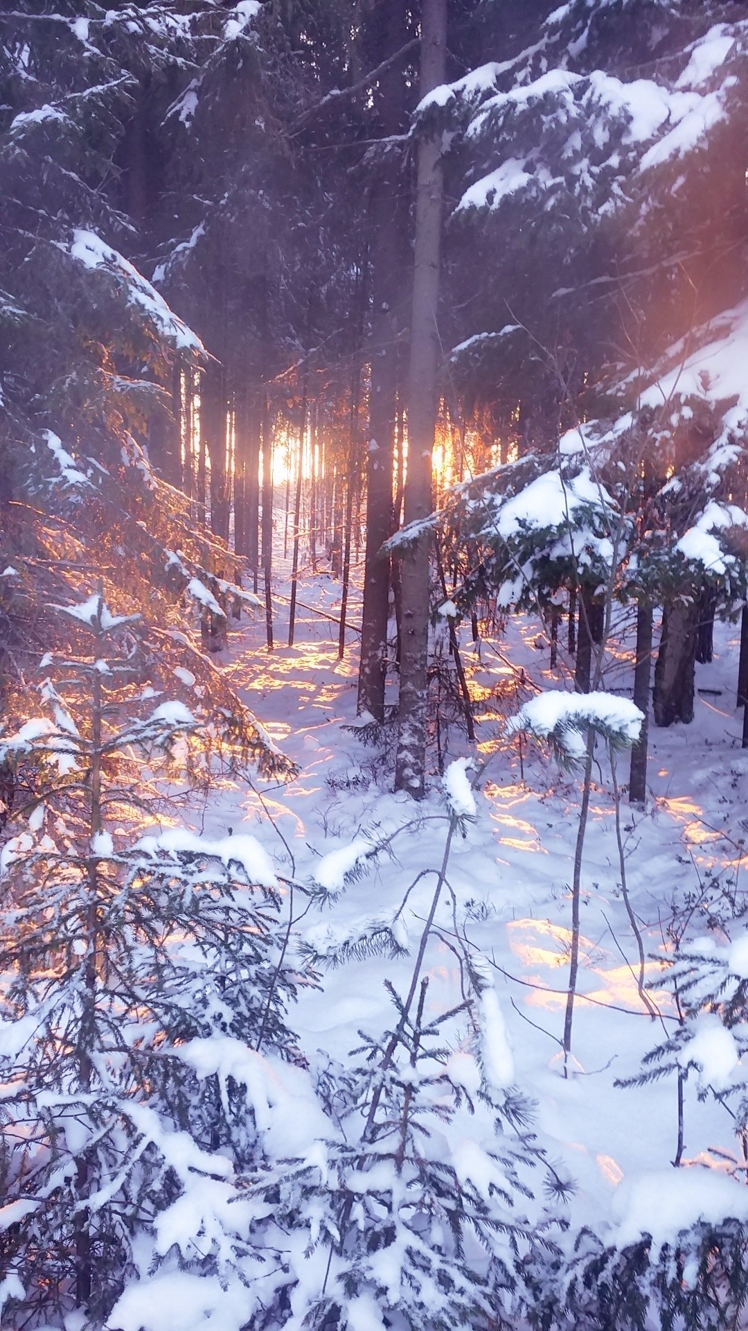 Snow Karelia. - My, The photo, Winter, Карелия, Longpost, Beginning photographer