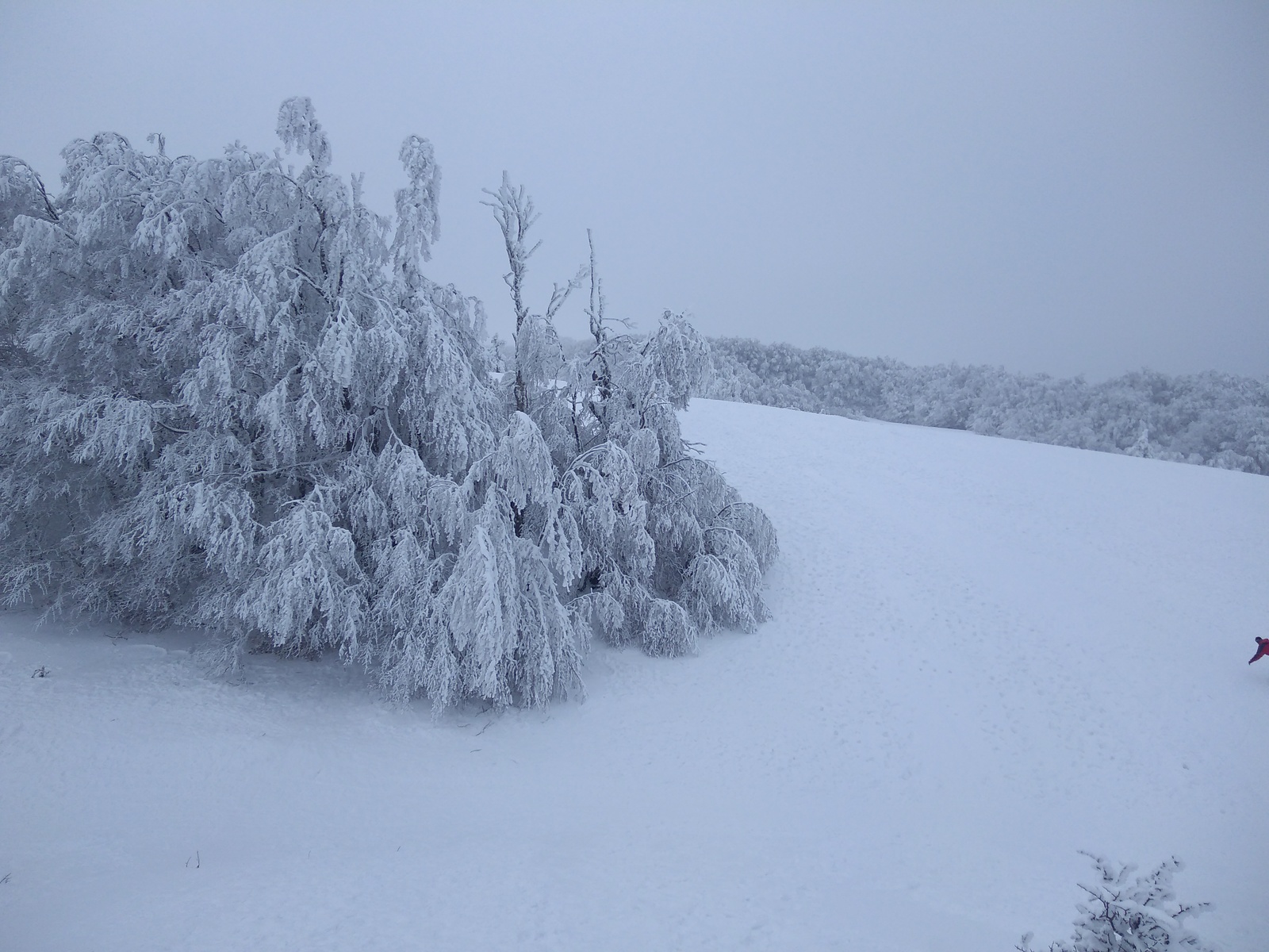 Crimean winter fairy tale and transport collapse - Ai-Petri, Crimea, Winter, , Black Sea, Summer tires, Longpost