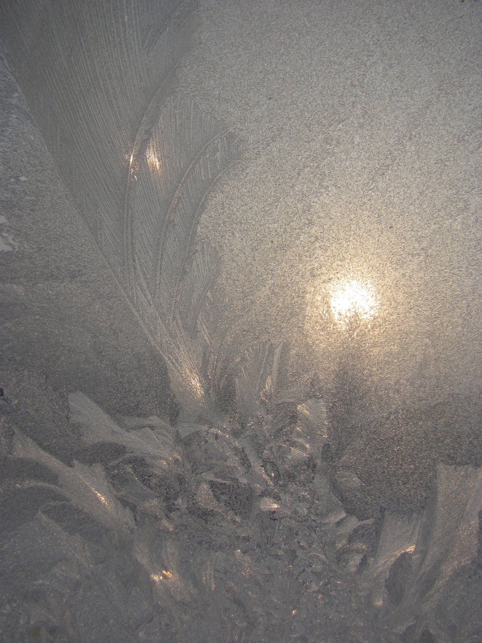 Frost patterns - My, Patterns on the window, Winter, , beauty of nature, Longpost