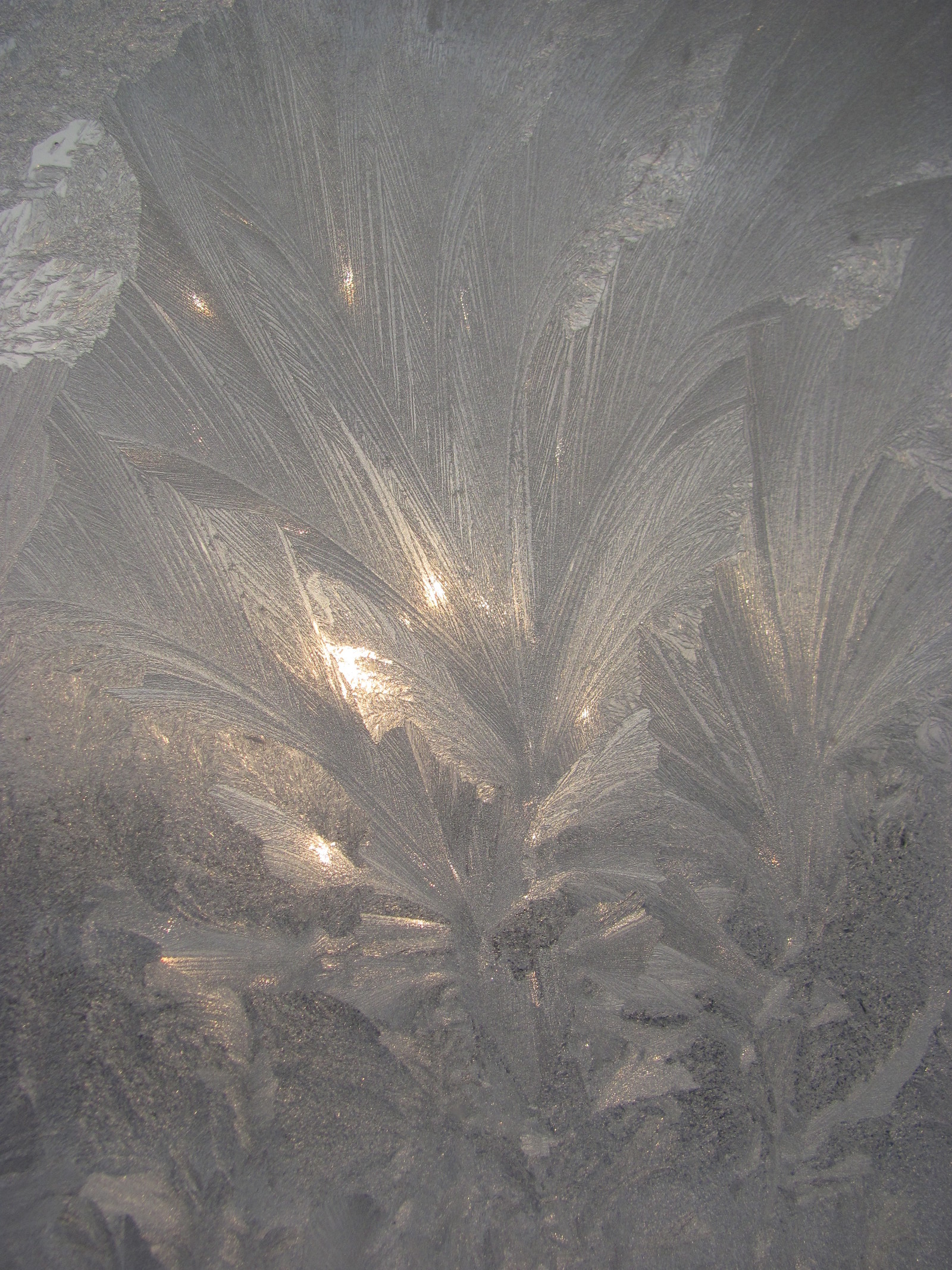 Frost patterns - My, Patterns on the window, Winter, , beauty of nature, Longpost