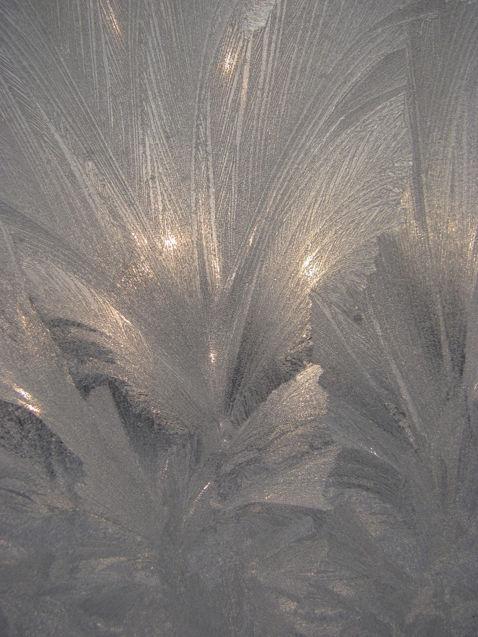 Frost patterns - My, Patterns on the window, Winter, , beauty of nature, Longpost