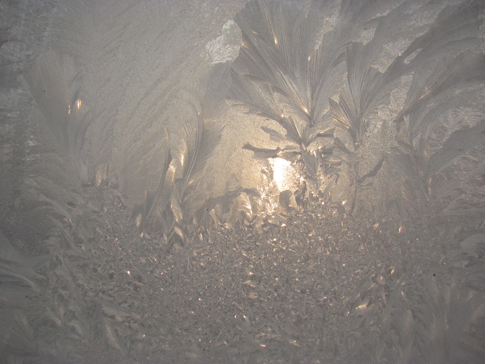 Frost patterns - My, Patterns on the window, Winter, , beauty of nature, Longpost