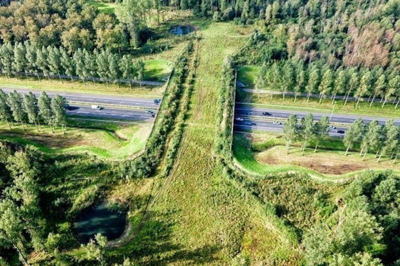 Holland is the country of the future! - Holland, , Longpost, Netherlands (Holland), New Holland (island)