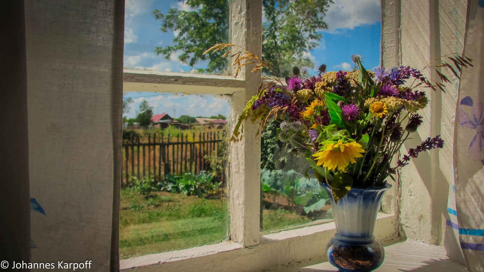 A little bit of summer in the feed. - My, Summer, Altai, Nature, Field, Nostalgia, Greenery, The photo, Longpost, Altai Republic