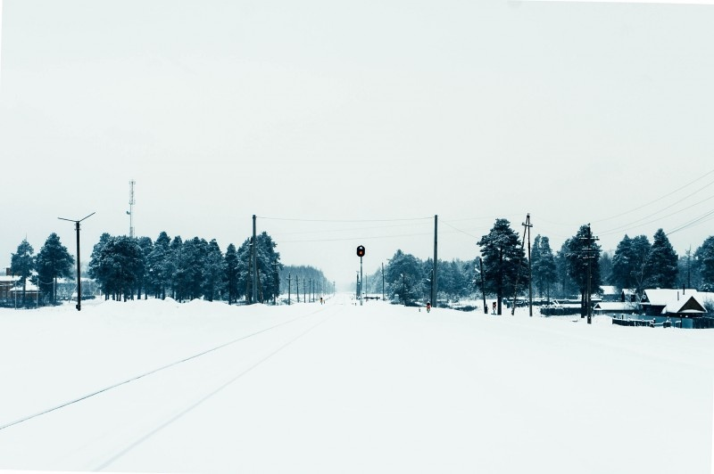 In winter, in the village - where the pines grow - My, Travels, Winter, Story, Travel across Russia, Marmot, Longpost