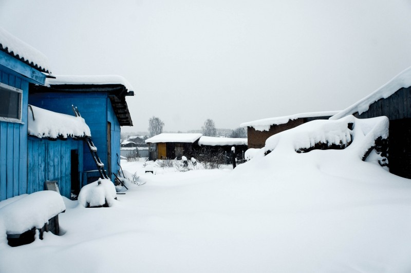 In winter, in the village - where the pines grow - My, Travels, Winter, Story, Travel across Russia, Marmot, Longpost