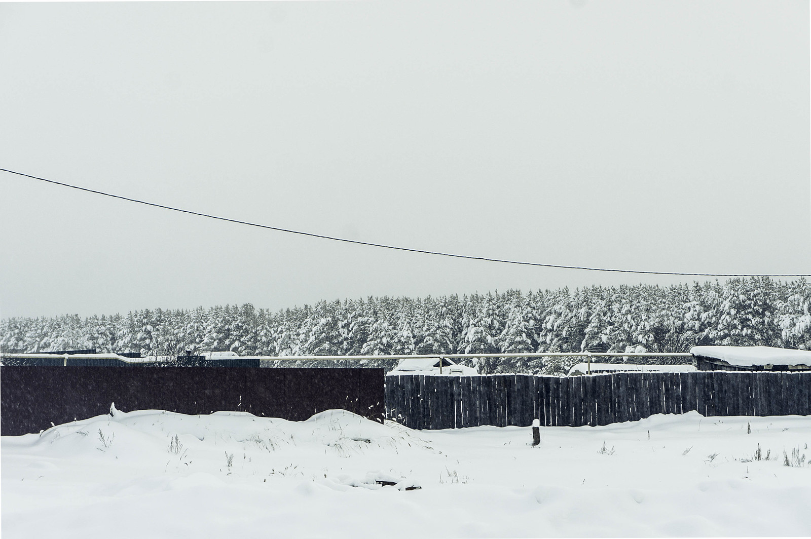 In winter, in the village - where the pines grow - My, Travels, Winter, Story, Travel across Russia, Marmot, Longpost