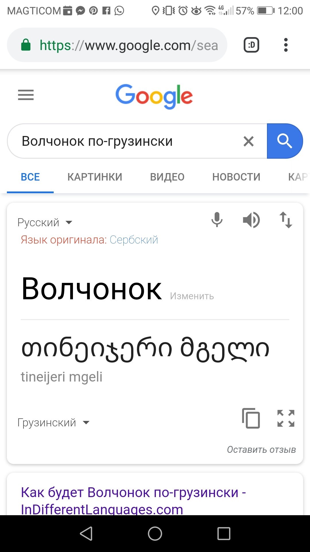 Волк тинейджер