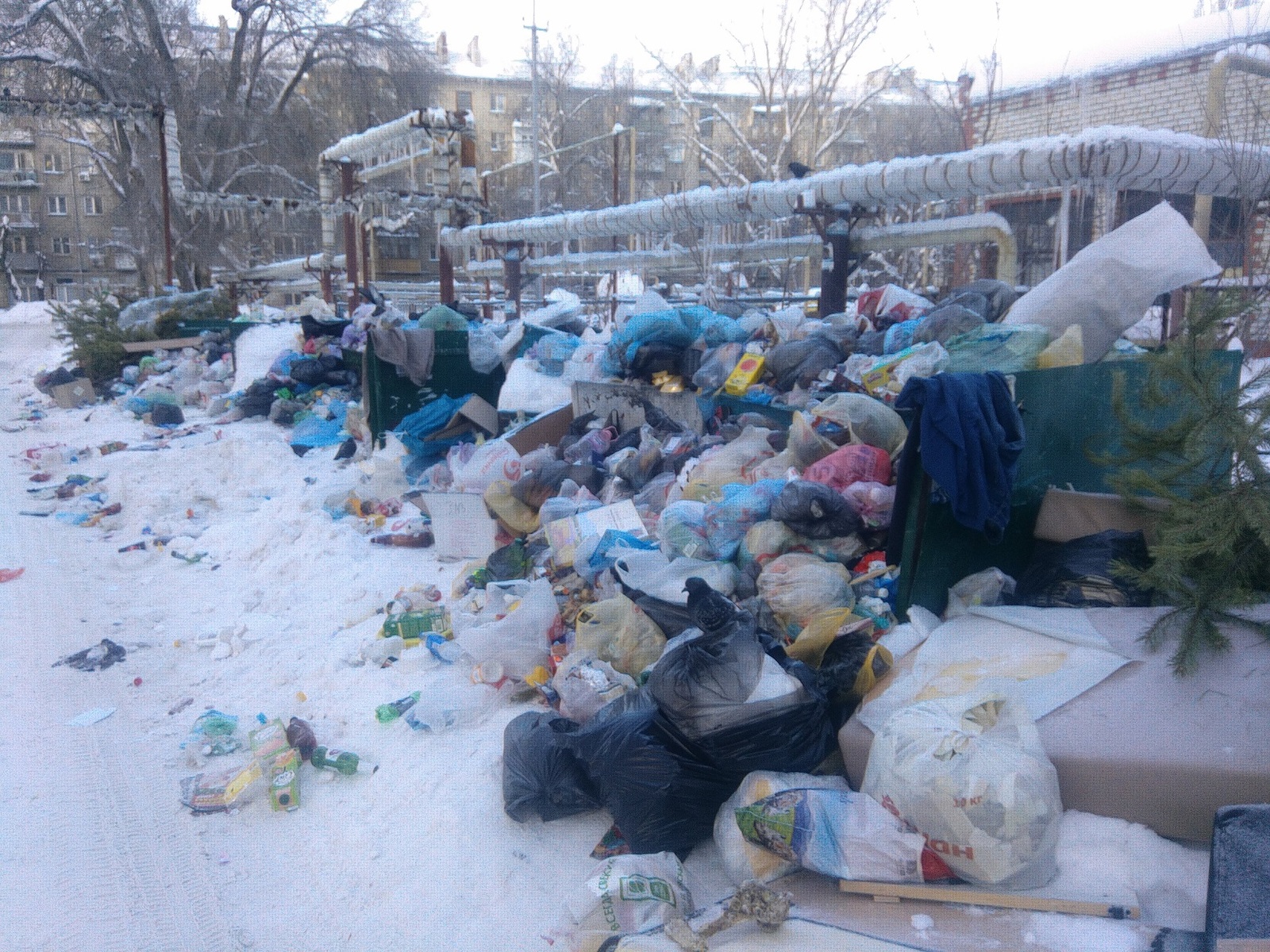 Саратов. Тариф на вывоз мусора подняли в два раза... и дворы оказались завалены мусором. - Моё, Саратов, Длиннопост, Мусор, ЖКХ, Тарифы, Негатив