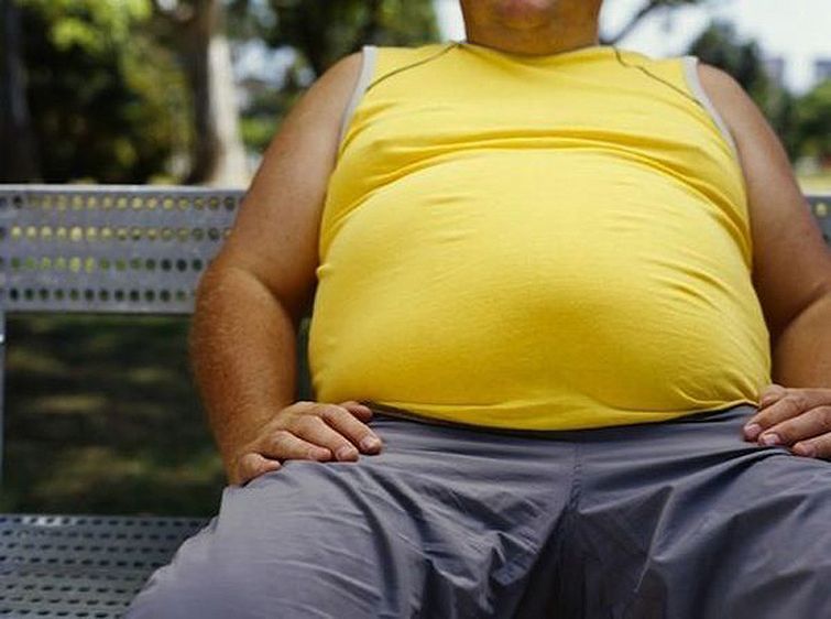 Is there a gene for obesity? - Obesity, Health, Genes, Genes are to blame