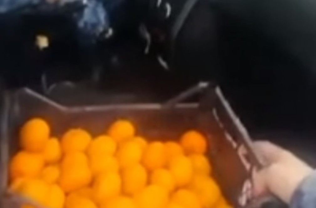 The Ministry of Internal Affairs explained the trip of offended police officers for tangerines - Tangerines, Ministry of Internal Affairs, Makhachkala, Unusual gifts