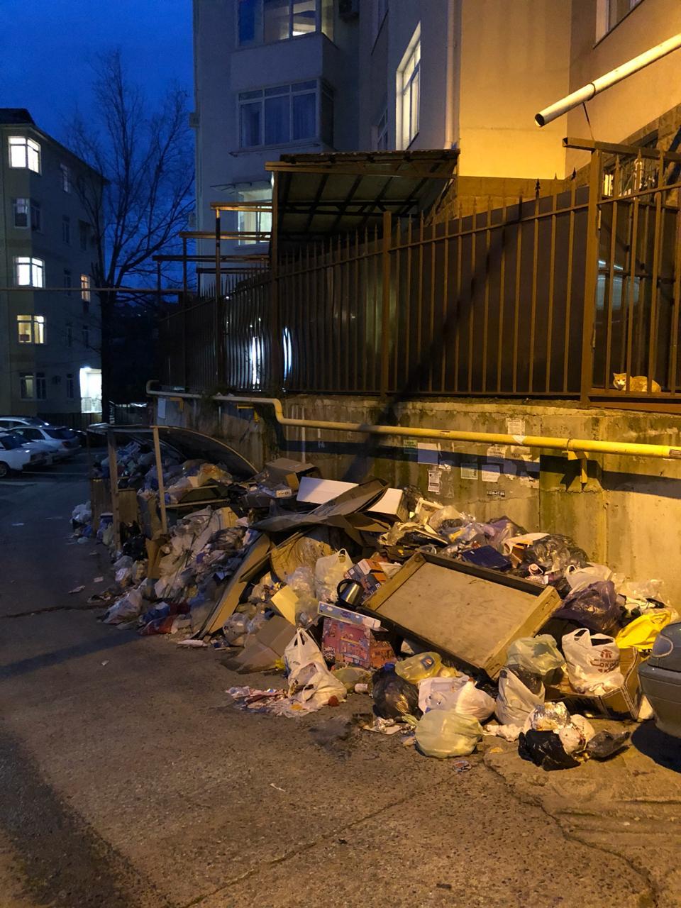 Probably the scavengers still have a New Year - My, Garbage, Sochi, New Year, Mess, Housing and communal services, Russia