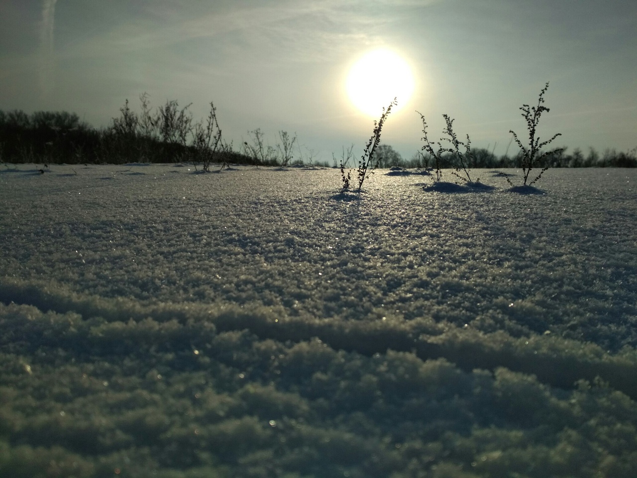 Winter beauty - My, Winter, Snow, beauty, Nature