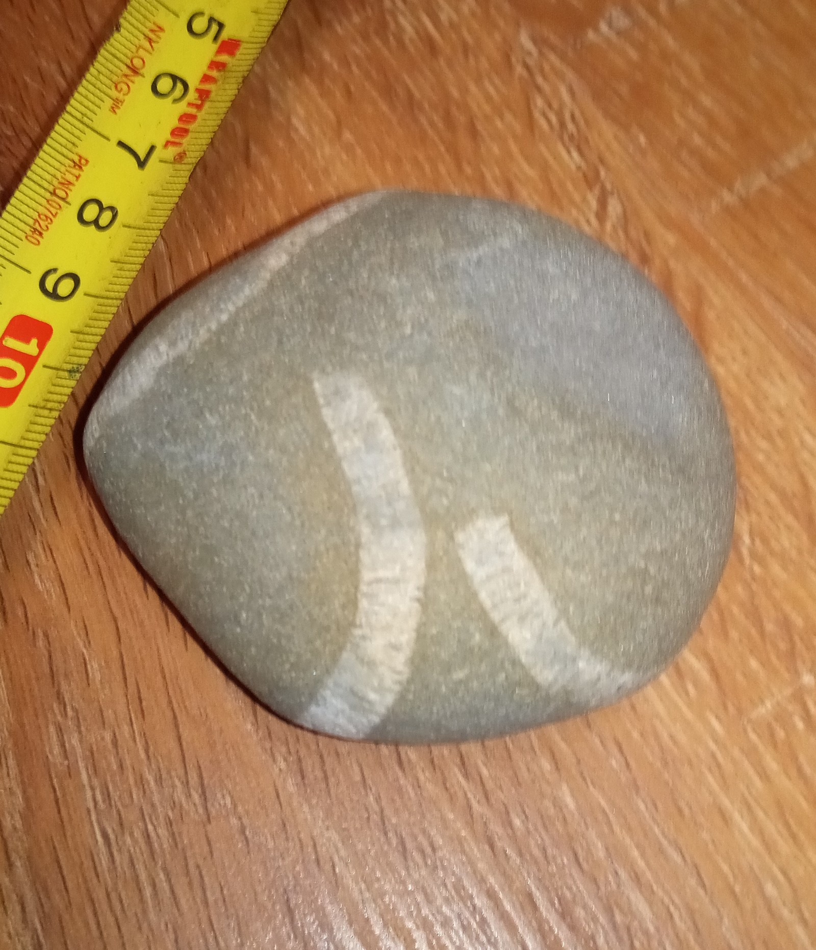 Help identify, please! - My, Paleontology, Fossil, A rock, Minerals, Baltic Sea, What's this?, Longpost