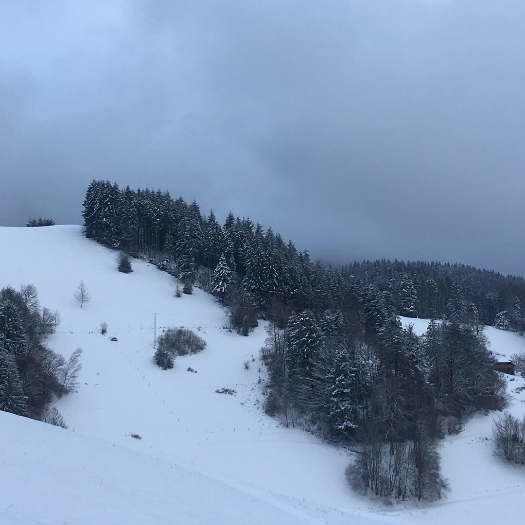 Amazing view. Bolschweil, Upper Black Forest - My, The photo, Germany, Winter, Longpost