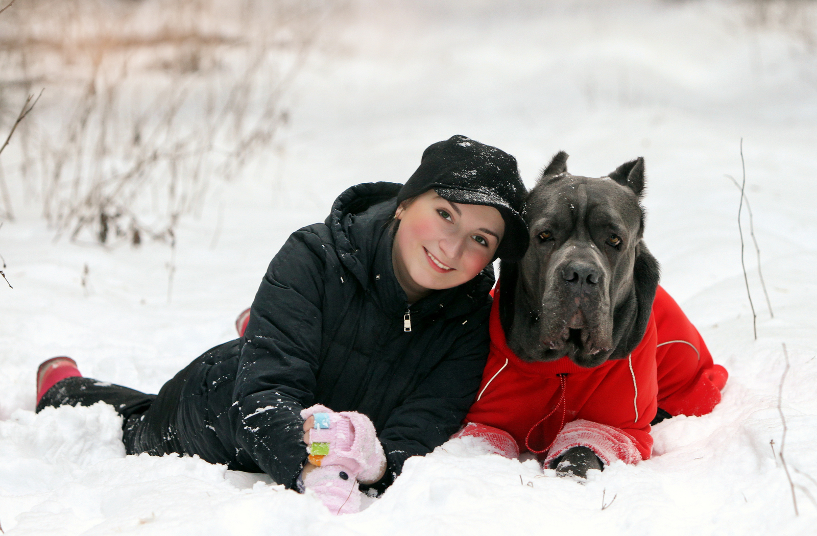 Bone Day! - My, Dog, Cane Corso, Animals, The photo, Dog days, , Longpost