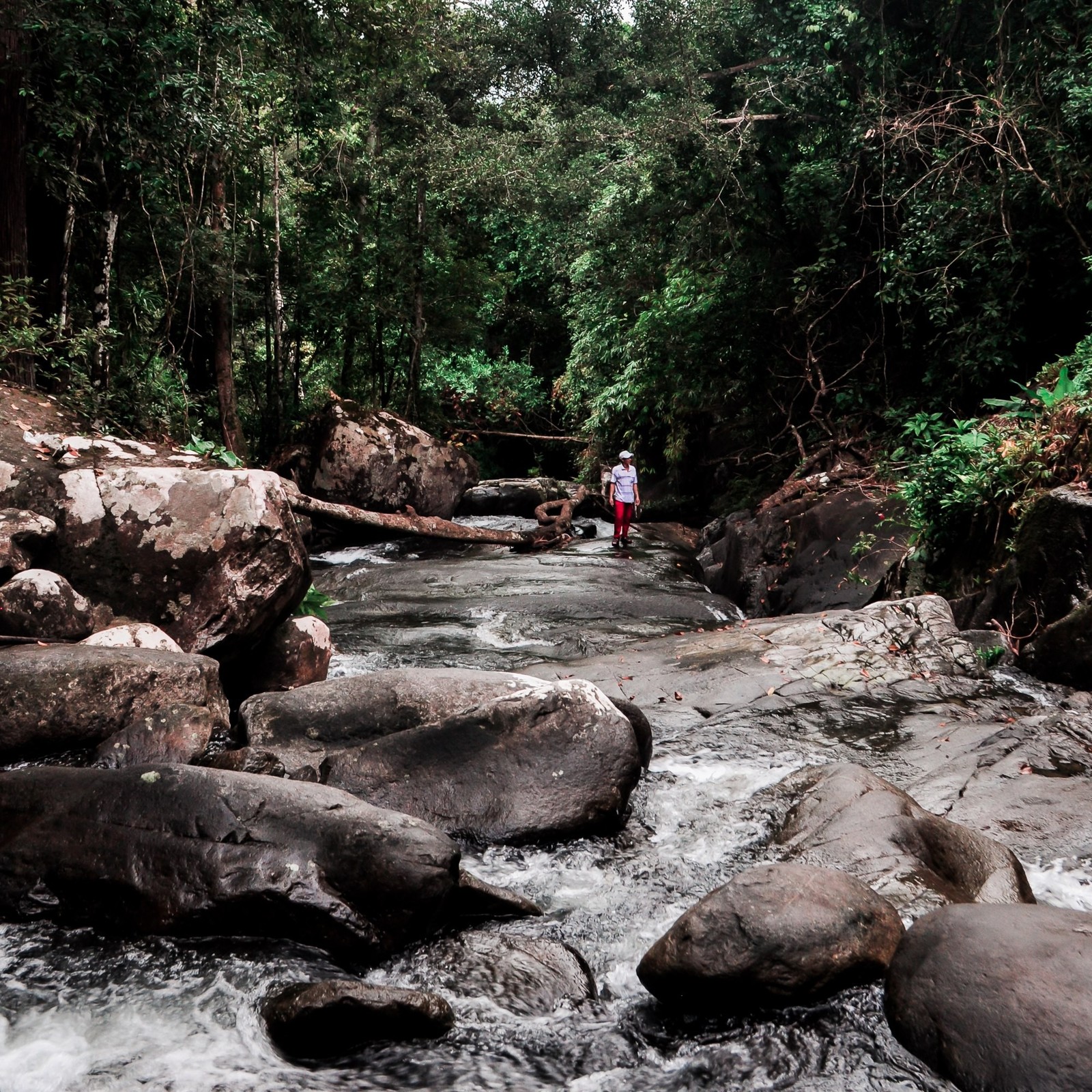 Thailand - My, The photo, Photographer, Nature, Thailand, Longpost