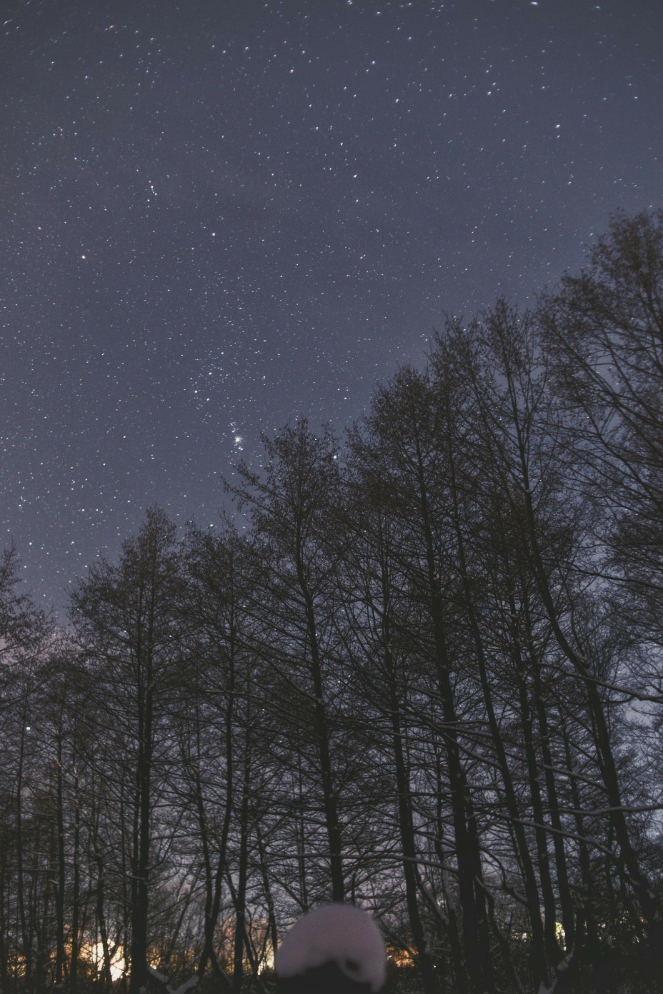 Orion Nebula and Winter Silence - Space, The photo, Astronomy, Winter, Forest, Walk, Longpost