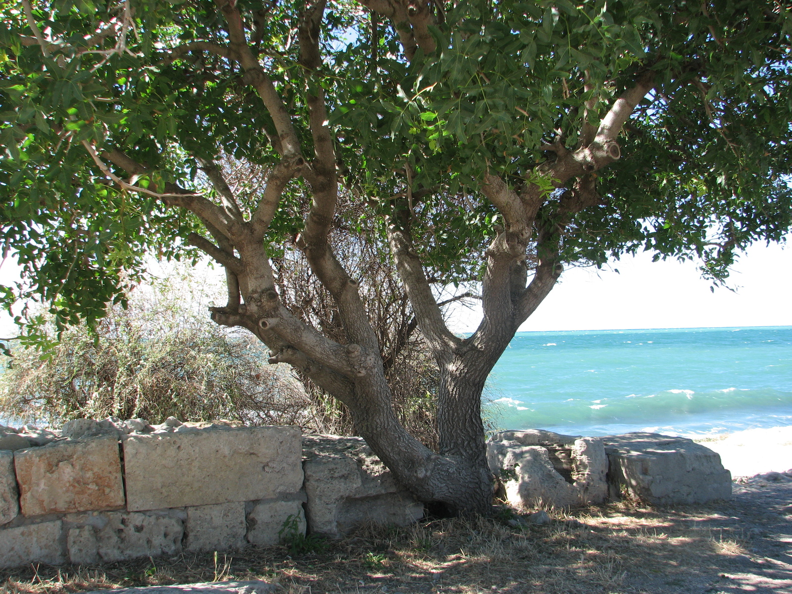 Chersonese Tauride - My, Beginning photographer, Chersonesos, Sevastopol, Crimea, Sea, Longpost