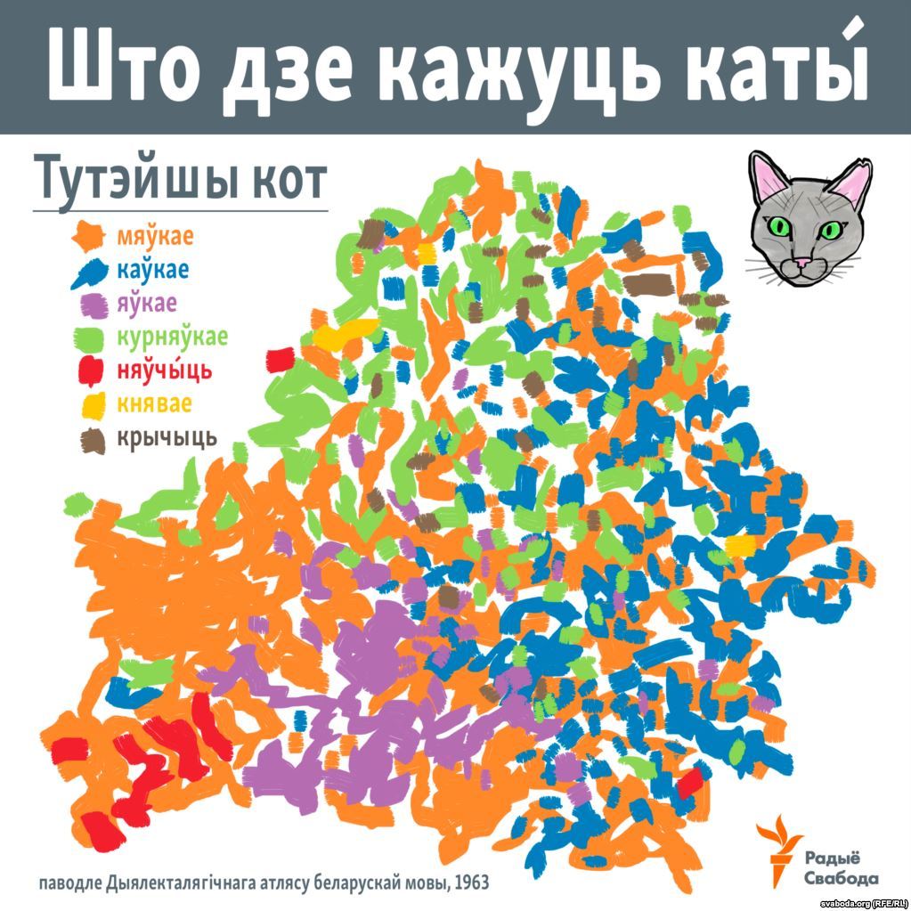 Смех продлевает жизнь!) - Кот, Интересное, Длиннопост