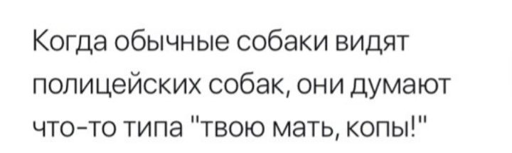 Как- то так 294... - Форум, Скриншот, Подборка, ВКонтакте, Вопрос, Чушь, Как-То так, Staruxa111, Длиннопост