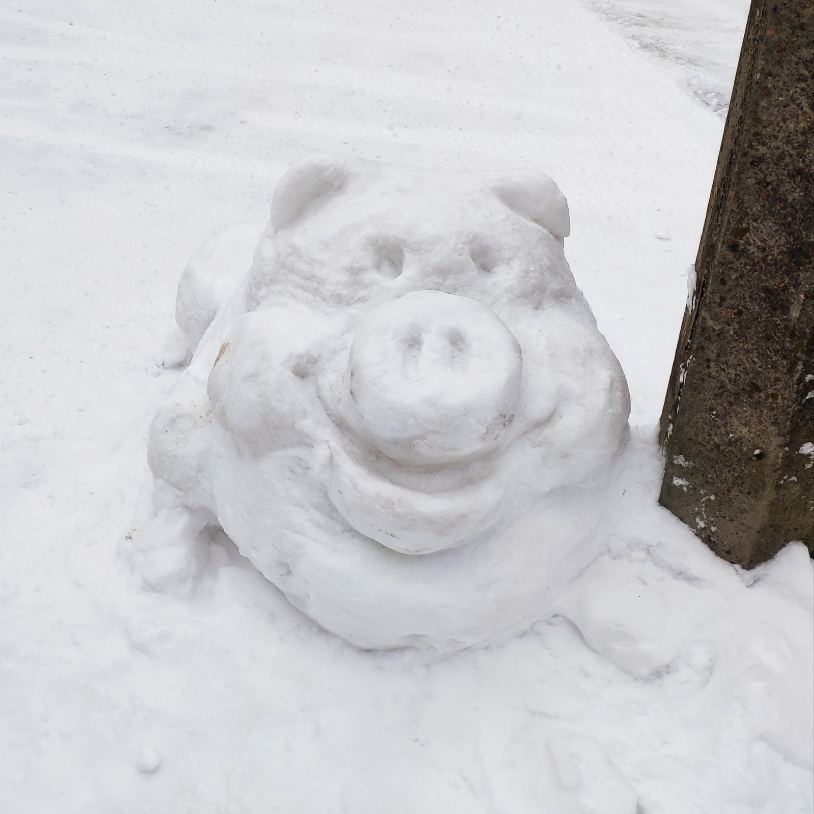 snow boar - My, Winter, Snow, snowman, Pig