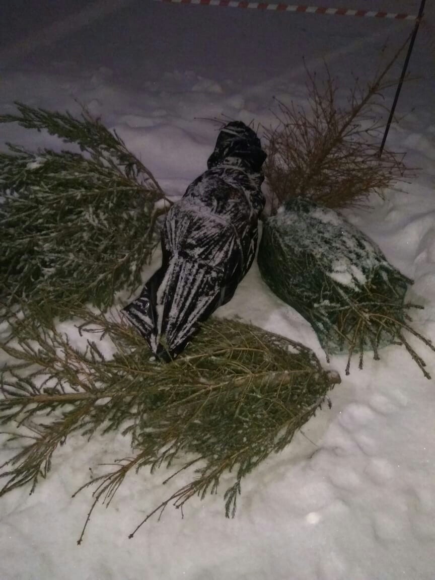 Ну вот и всё, с ней покончено! - Моё, Старый новый год, Черный юмор, Первый пост, Длиннопост, Переработка мусора