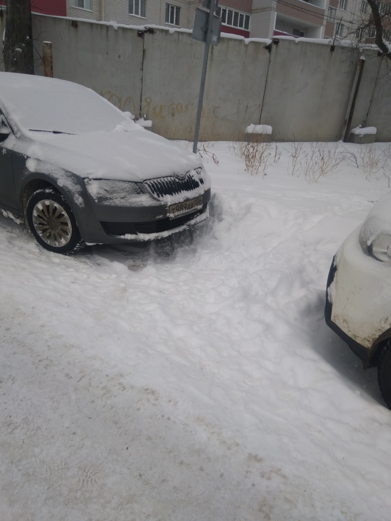 Spontaneous parking in the protected natural area of ??the park - My, Неправильная парковка, Freaks, Longpost