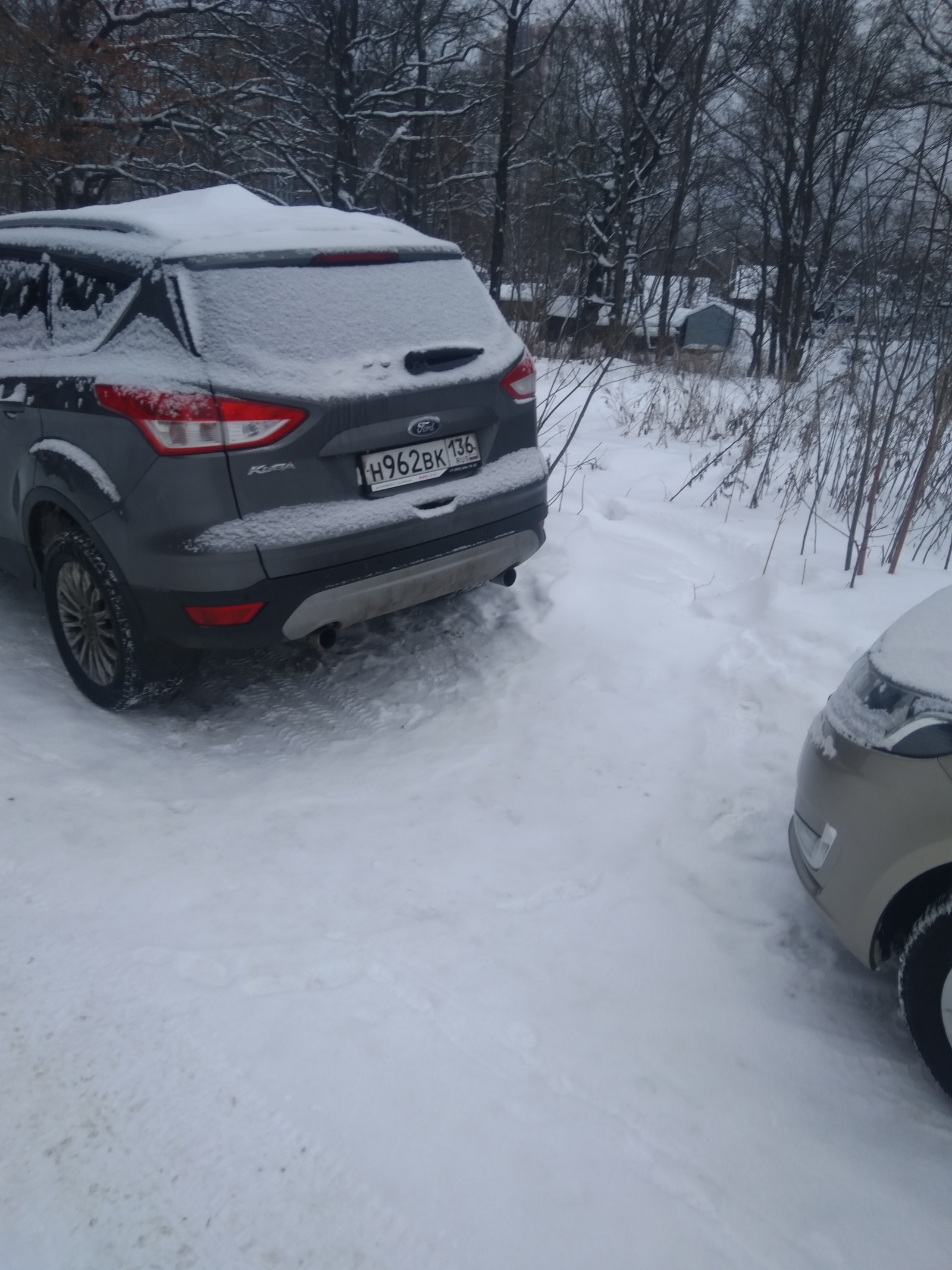 Spontaneous parking in the protected natural area of ??the park - My, Неправильная парковка, Freaks, Longpost