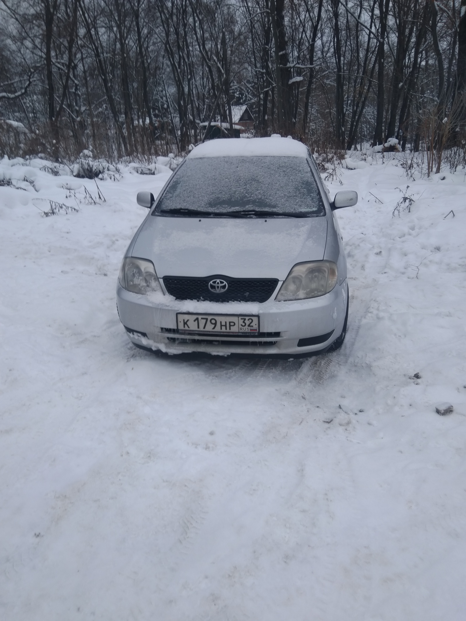 Spontaneous parking in the protected natural area of ??the park - My, Неправильная парковка, Freaks, Longpost