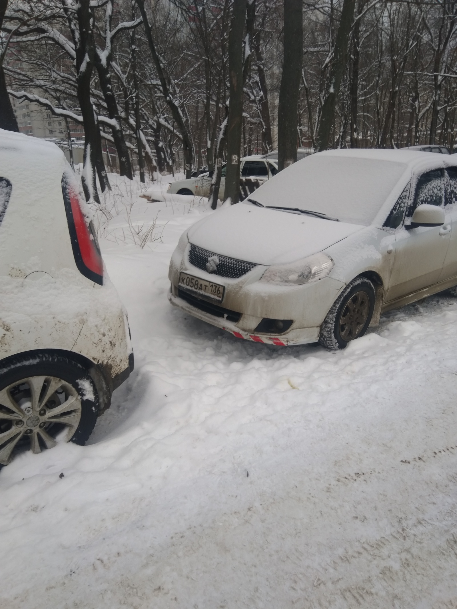 Spontaneous parking in the protected natural area of ??the park - My, Неправильная парковка, Freaks, Longpost