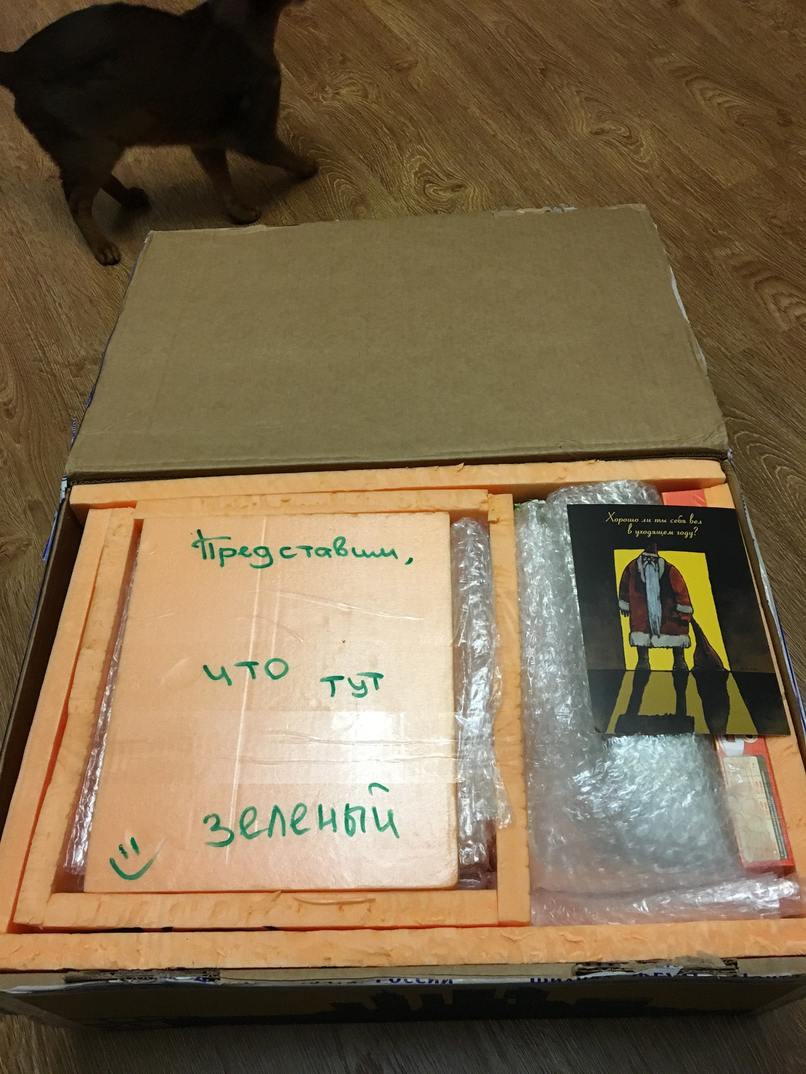 Anonymous Santa Claus from Samara - My, Secret Santa, Presents, New Year, Gift exchange, Gift exchange report, Longpost, cat