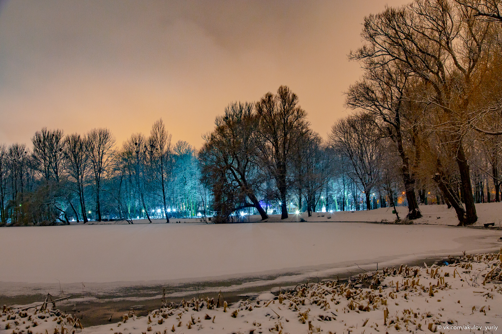 Winter sketches - My, Winter, The photo, Kaliningrad, Longpost