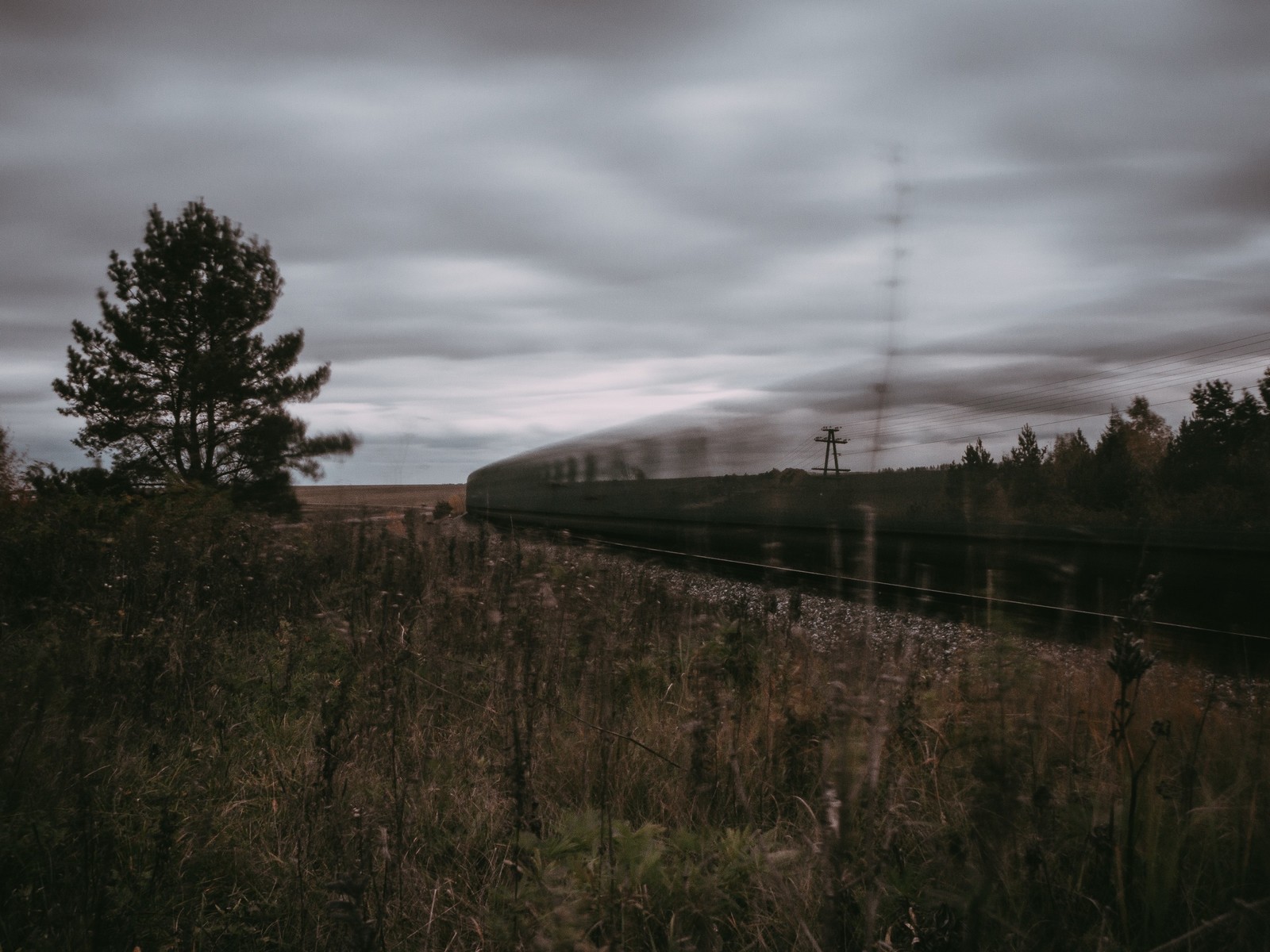 Railway - My, Nature, Beginning photographer, Railway