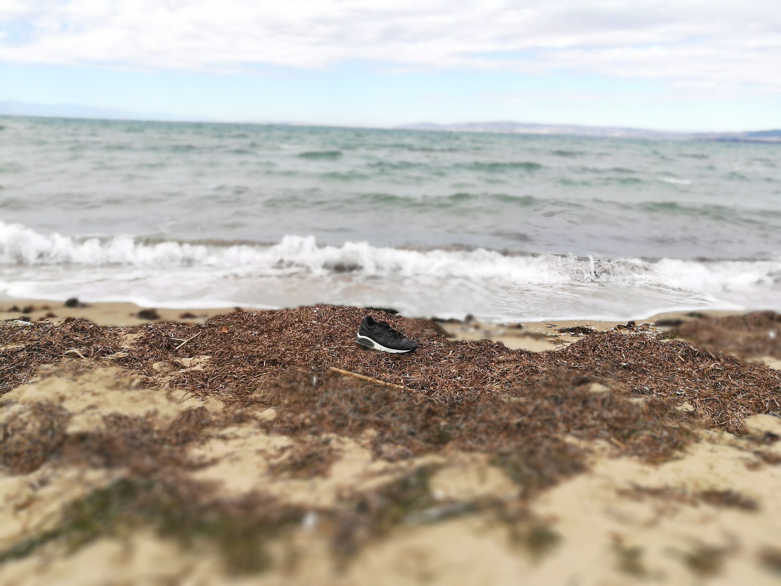 Man's footprint in nature. - My, Photo on sneaker, Track