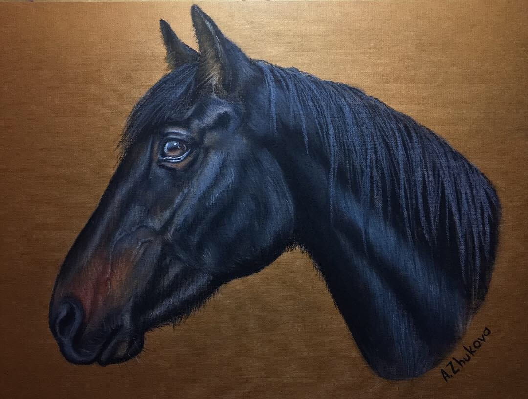 Another portrait of a horse - My, Horse, Horses, Dry pastel