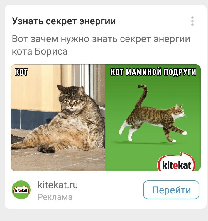 Секрет кота бориса. Секрет энергии кота Бориса. Энергия кота Бориса реклама. Кот Борис Мем.